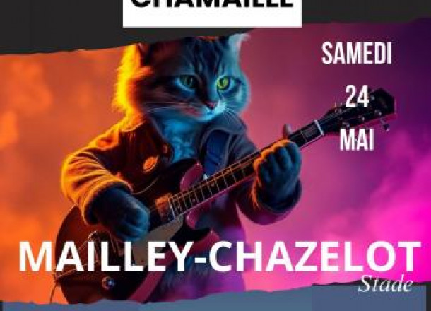 Festival CHAMAILLE