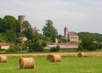 Marche pour le Tlthon