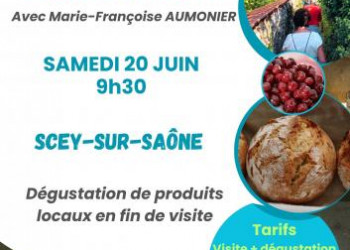 Secrets de Scey-sur-Saône par les chemins de traverse