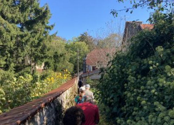 Visite guidée